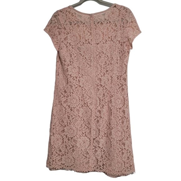 LOFT Ann Taylor Pink Lace Cami Slip Short Sleeve Dress Size 6 - Picture 3 of 8